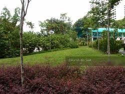 Blk 214 Petir Road (Bukit Panjang), HDB 3 Rooms #137163782